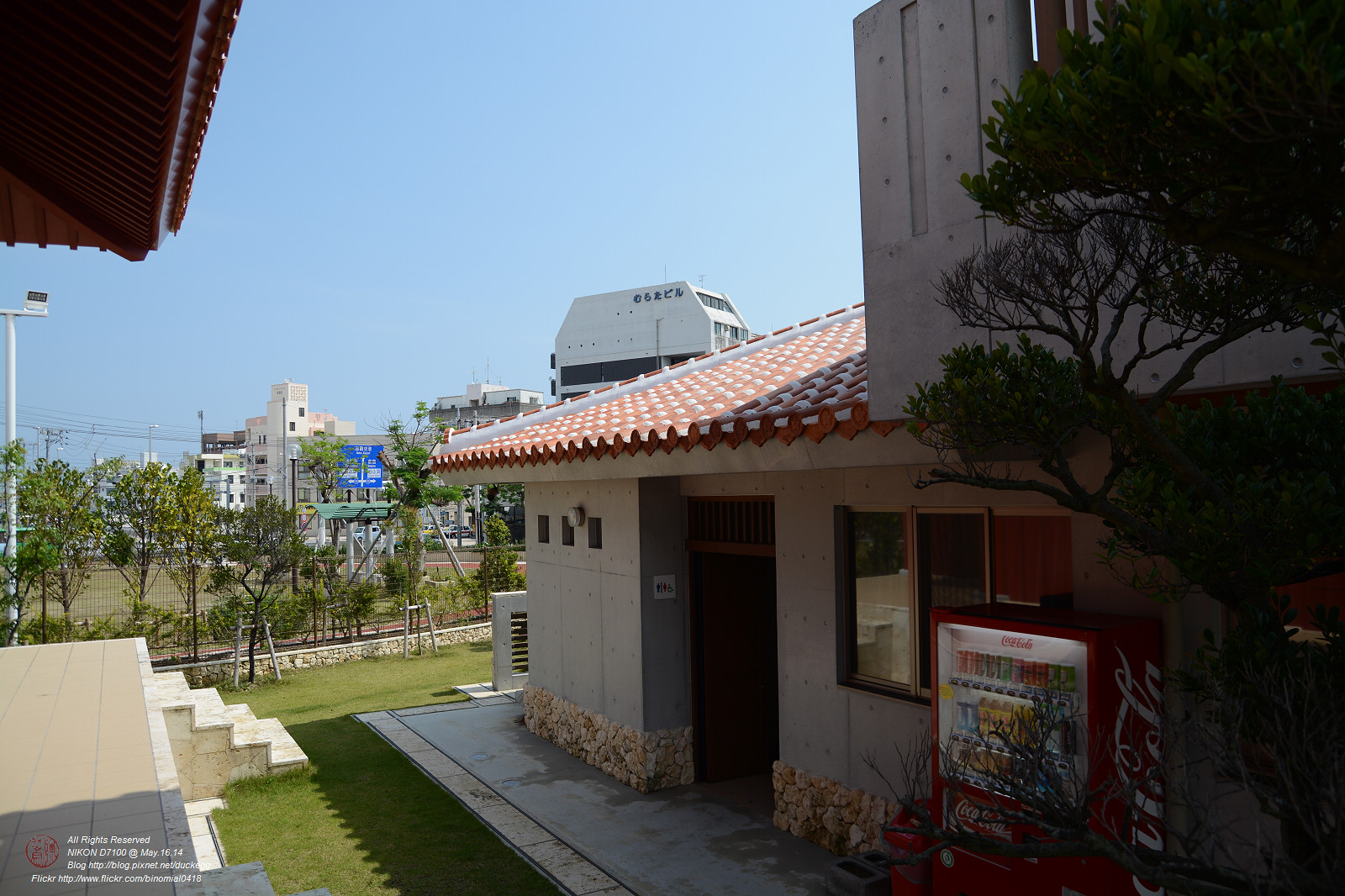 DSC_3394.jpg